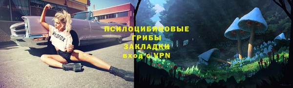 трава Новокубанск
