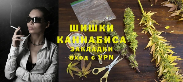 хмурый Бикин