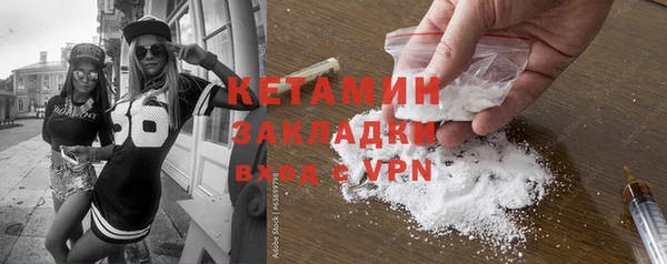хмурый Бикин