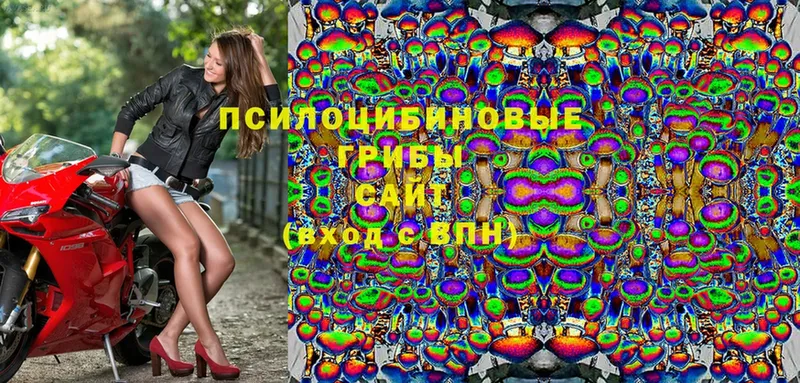 Псилоцибиновые грибы мухоморы  OMG зеркало  Северская 